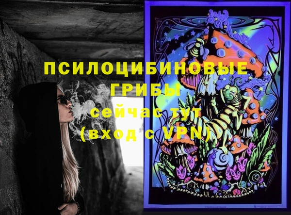 спиды Алзамай